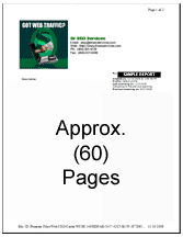 seo diy report